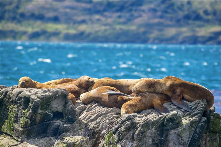 Höhepunkte in Patagonien mit Osterinsel ©guenterguni/istock